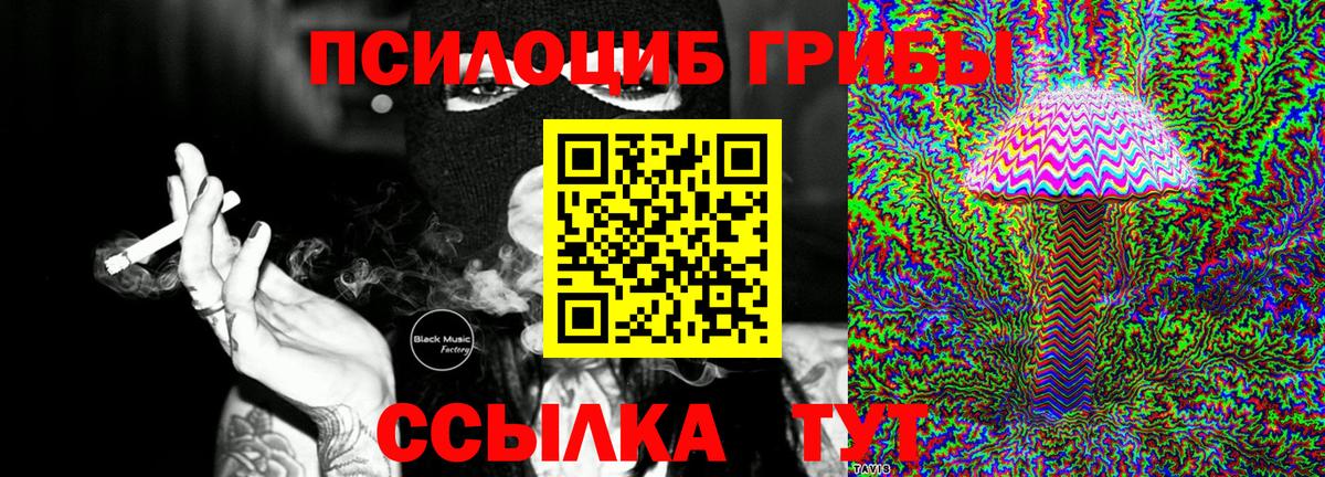 Стрежевой  продажа наркотиков  Вход с VPN  Псилоцибиновые грибы MAGIC MUSHROOMS 